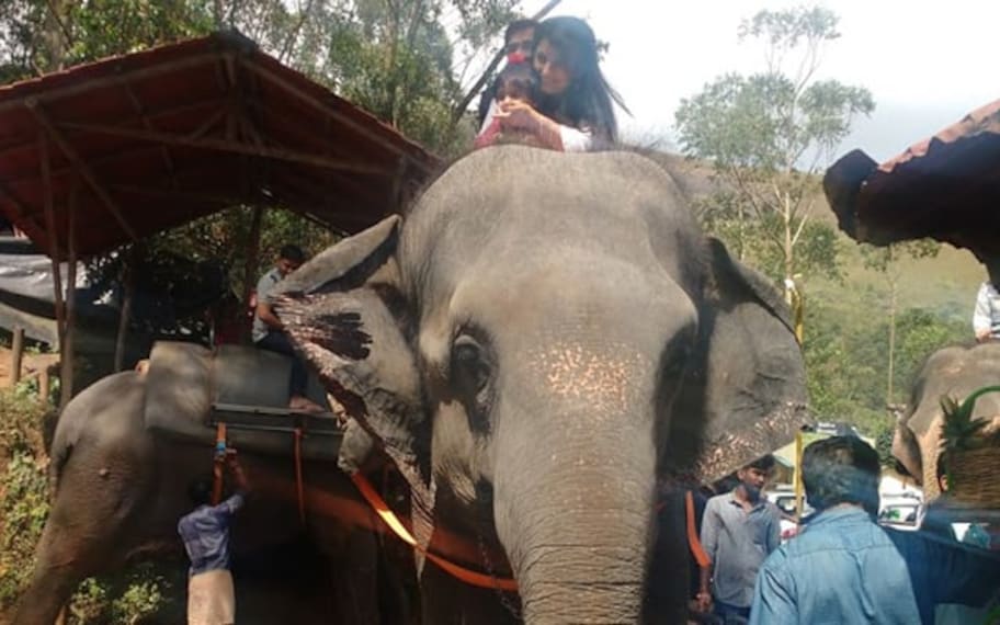 Munnar Elephant Safari At Carmelagiri Park Landscape Image
